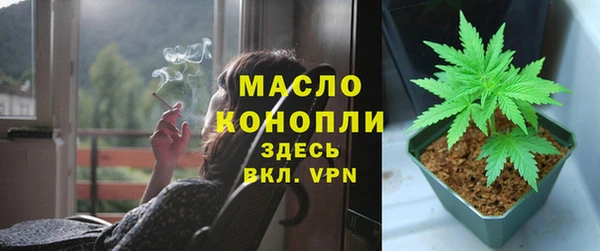 соль ск Кукмор