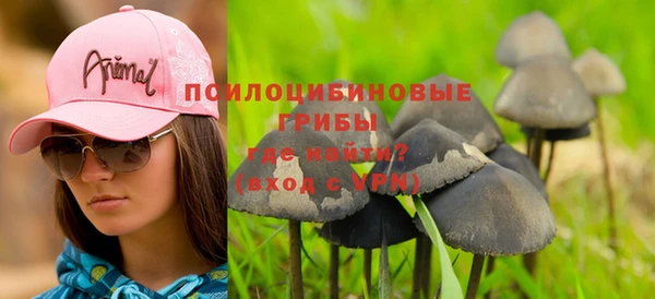эйфоретик Кулебаки