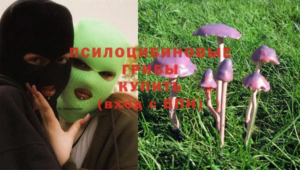 эйфоретик Кулебаки