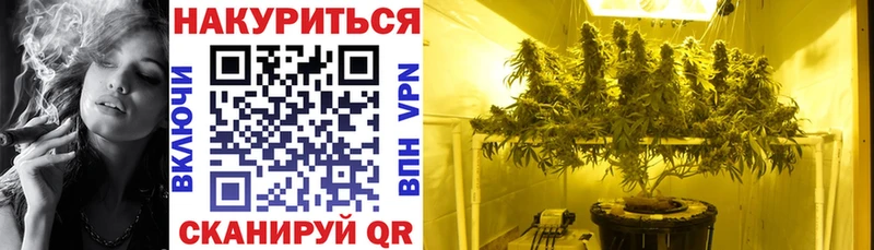 Бошки Шишки OG Kush Лебедянь